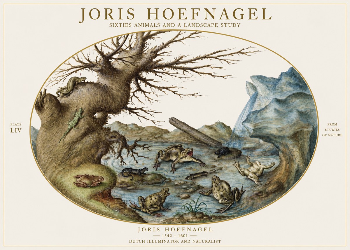 Joris Hoefnagel Sixtties Animals and a Landscape Study No1 - Affiche