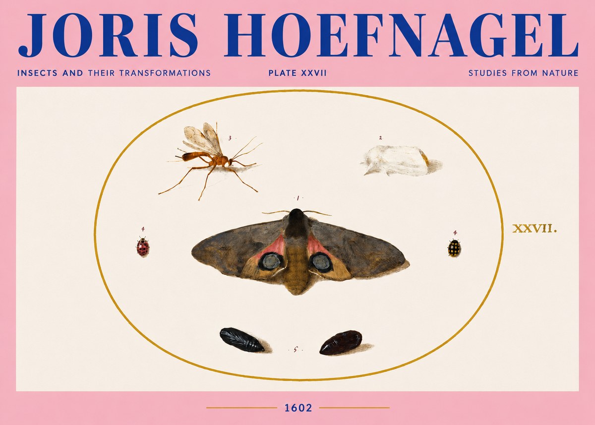 Joris Hoefnagel Insects and Their Transformations - Plate Xxvii No4 - Affiche