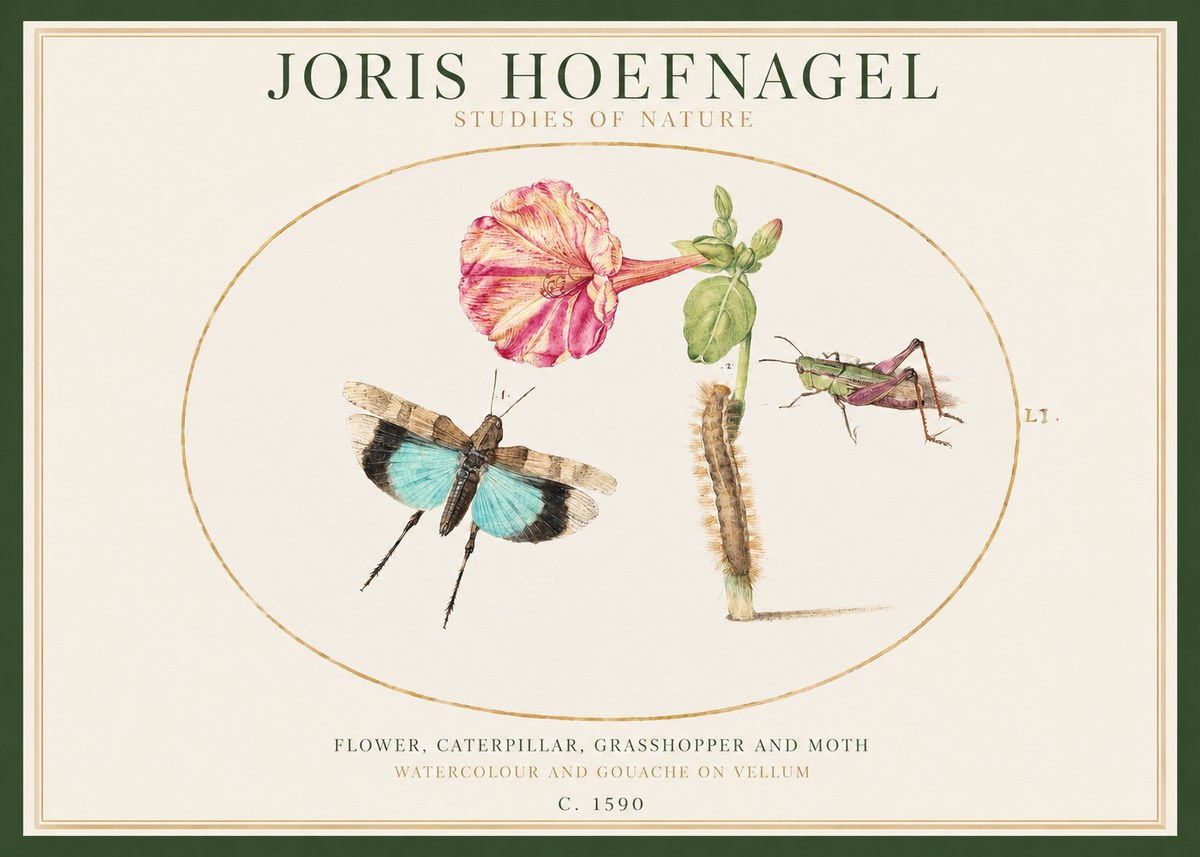 Joris Hoefnagel Plate L1. Studies of Insects and Plants No2 - Affiche