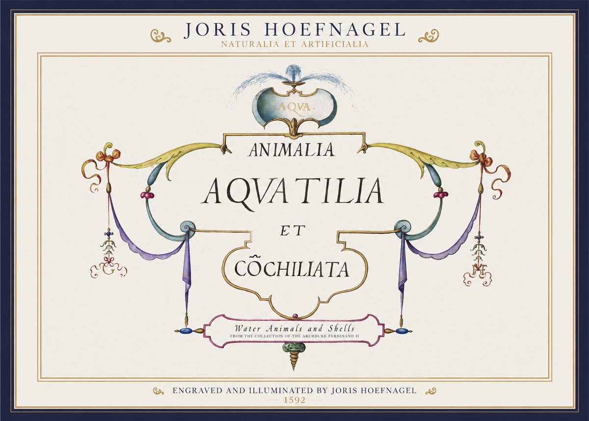 Joris Hoefnagel Animalia Aquatilia Et Cochiliata No1 - Affiche