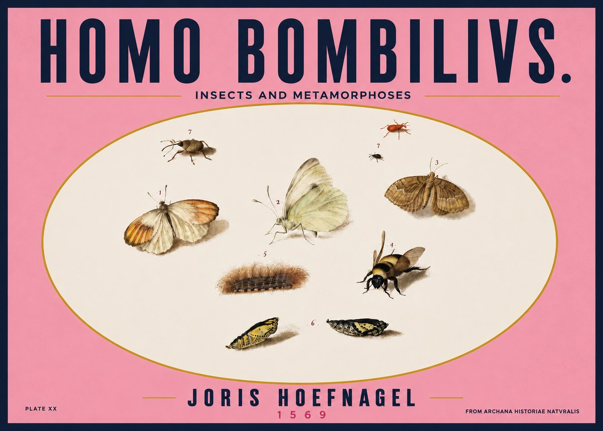 Joris Hoefnagel Homo Bombilivs. Insecta Et Metamorphoses No4 - Affiche