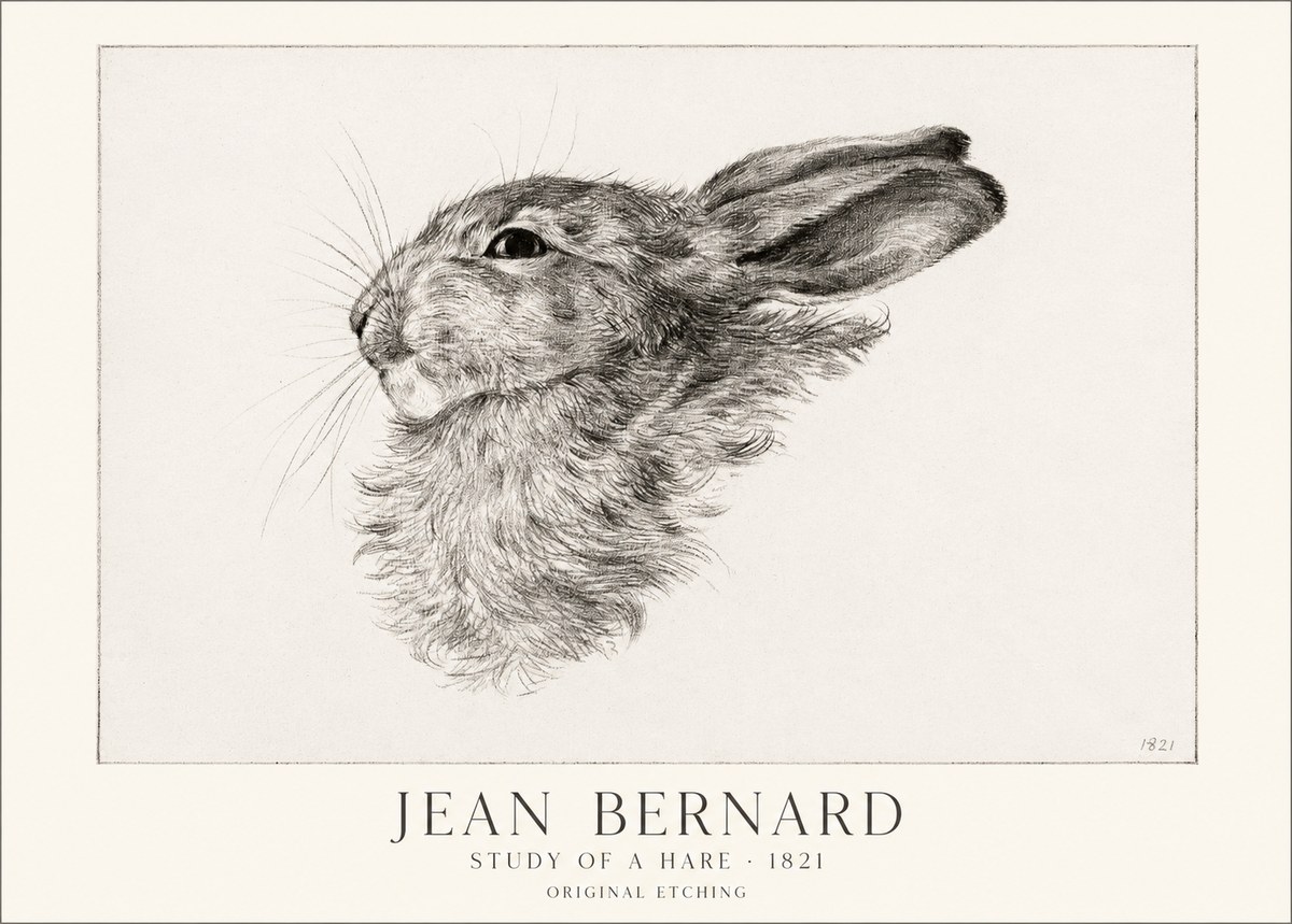 Jean Bernard Study of a Hare No1 - Affiche