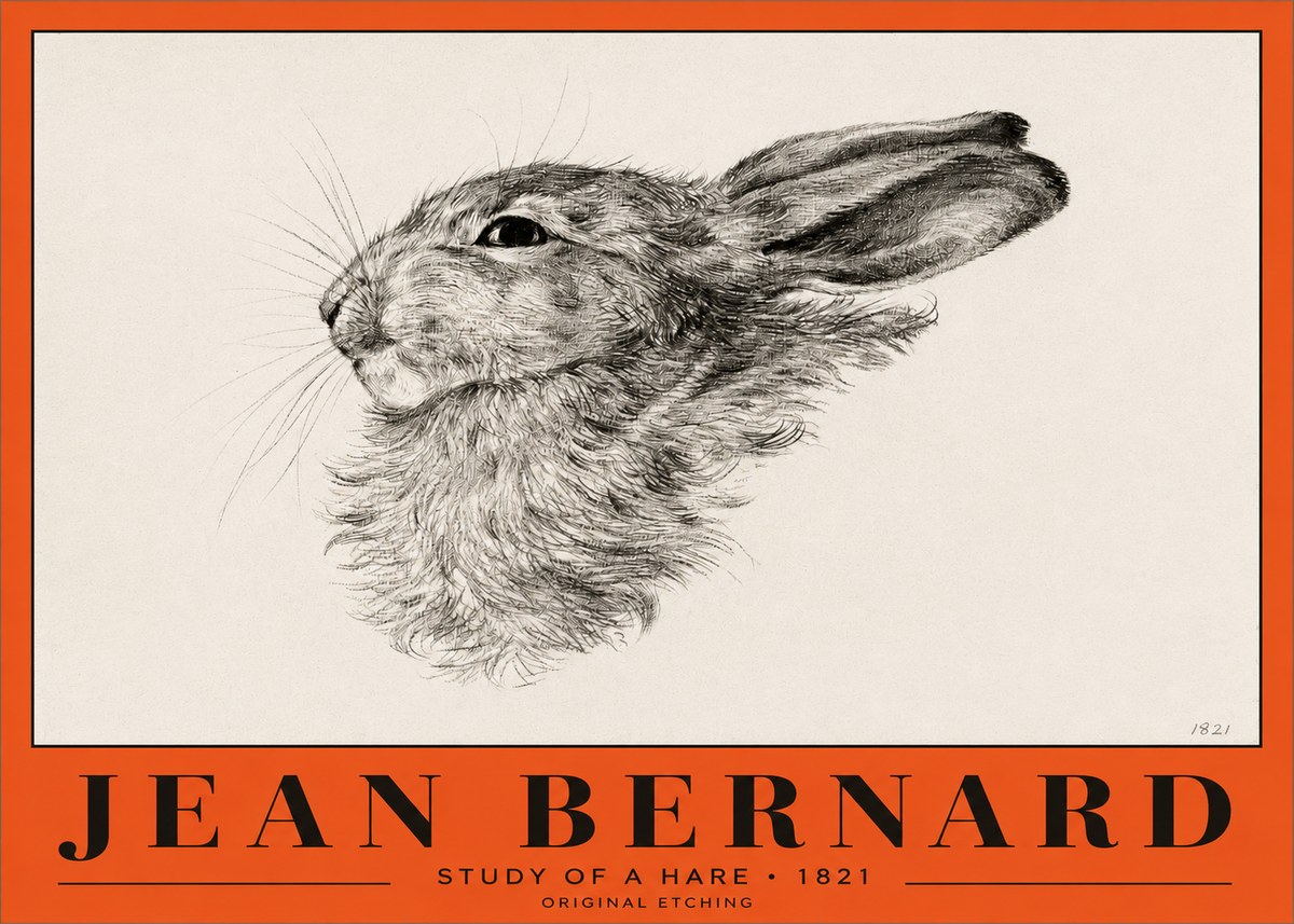 Jean Bernard Study of a Hare No2 - Affiche