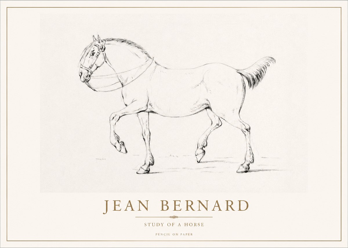 Jean Bernard Study of a Horse XVI No1 - Affiche
