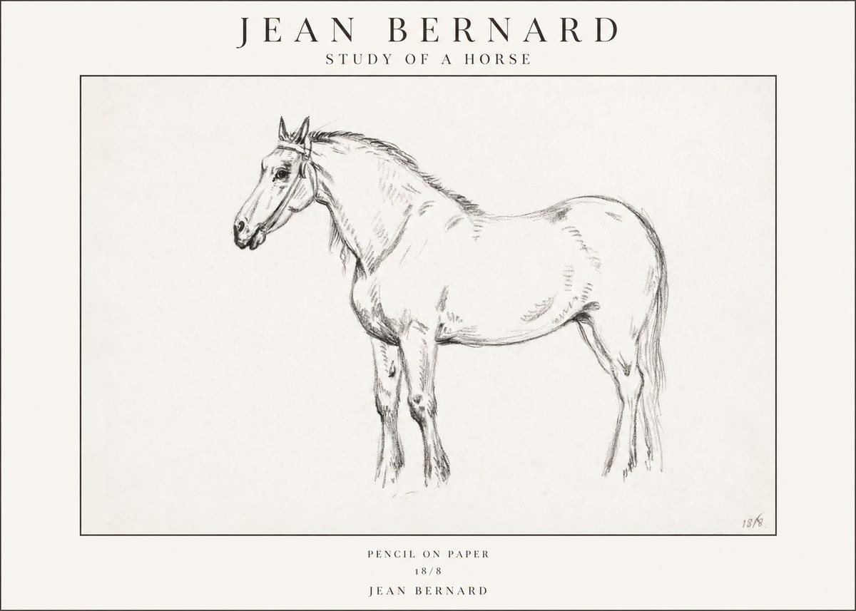 Jean Bernard Study of a Horse XVII No1 - Affiche