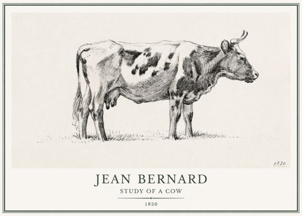 Jean Bernard Study of a Cow XX No1 - Affiche