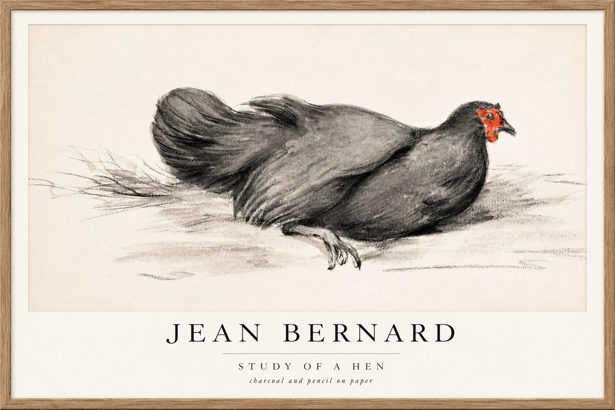 Jean Bernard Study of a Hen No1 - Affiche