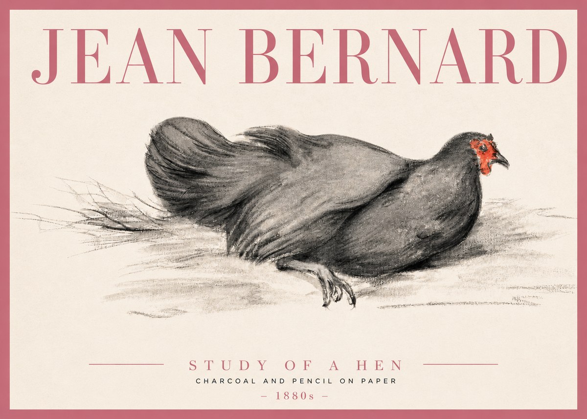 Jean Bernard Study of a Hen No3 - Affiche