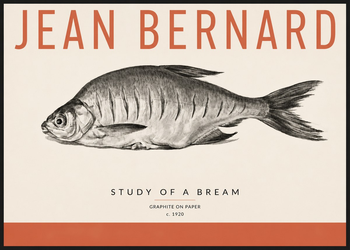 Jean Bernard Study of a Bream No4 - Affiche