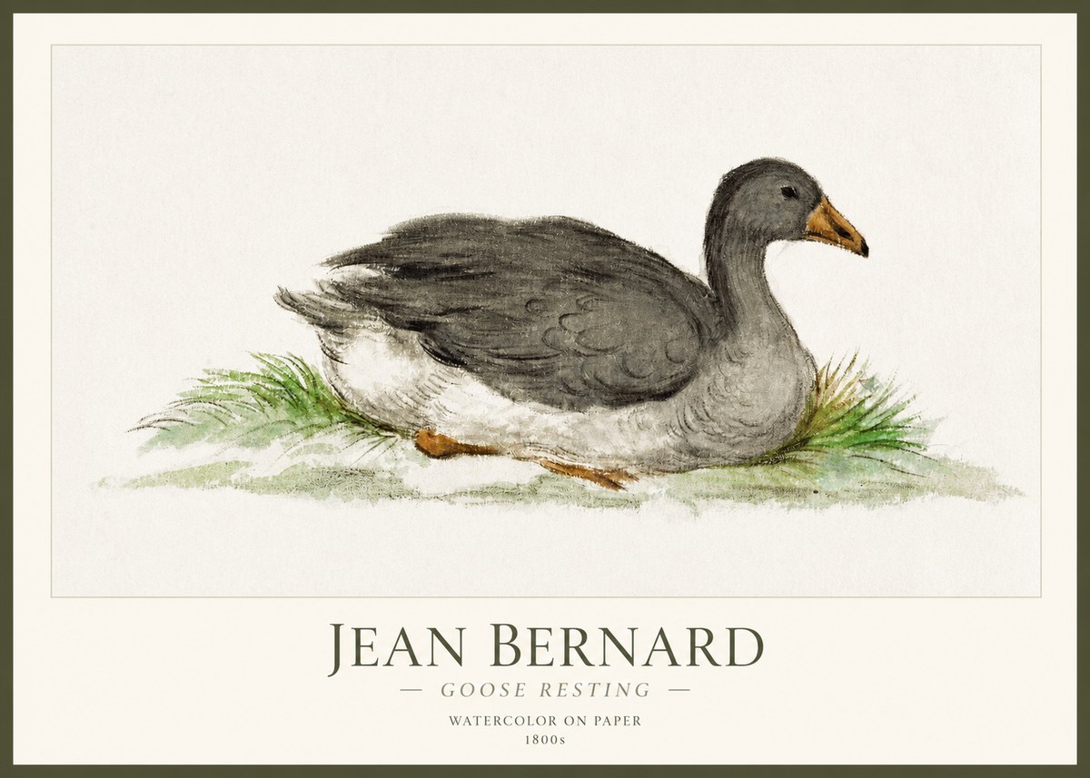 Jean Bernard Goose Resting No1 - Affiche