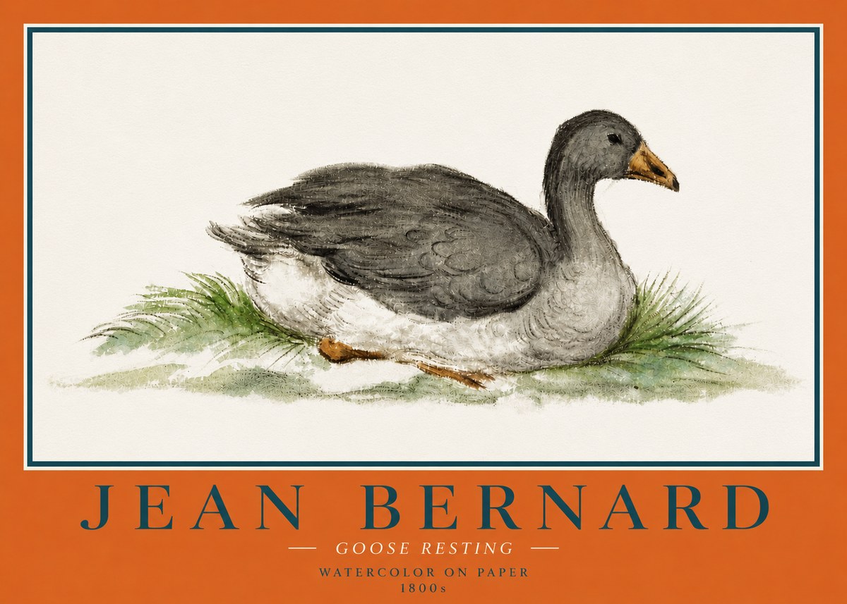 Jean Bernard Goose Resting No4 - Affiche