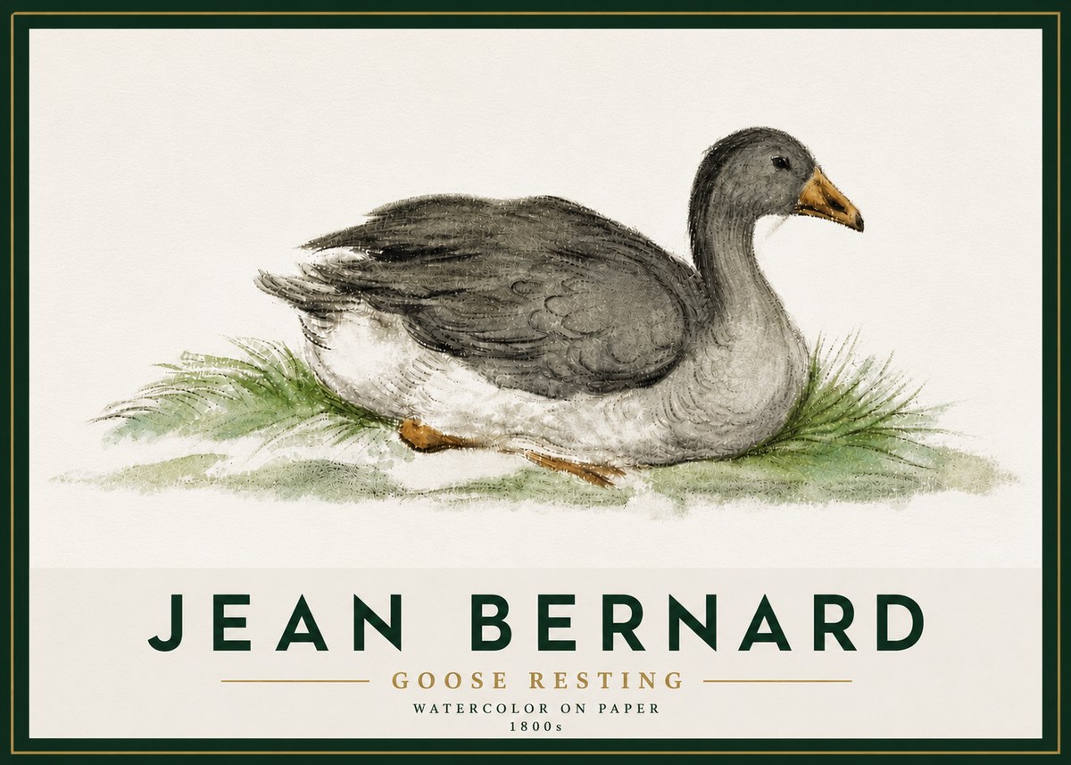 Jean Bernard Goose Resting No5 - Affiche