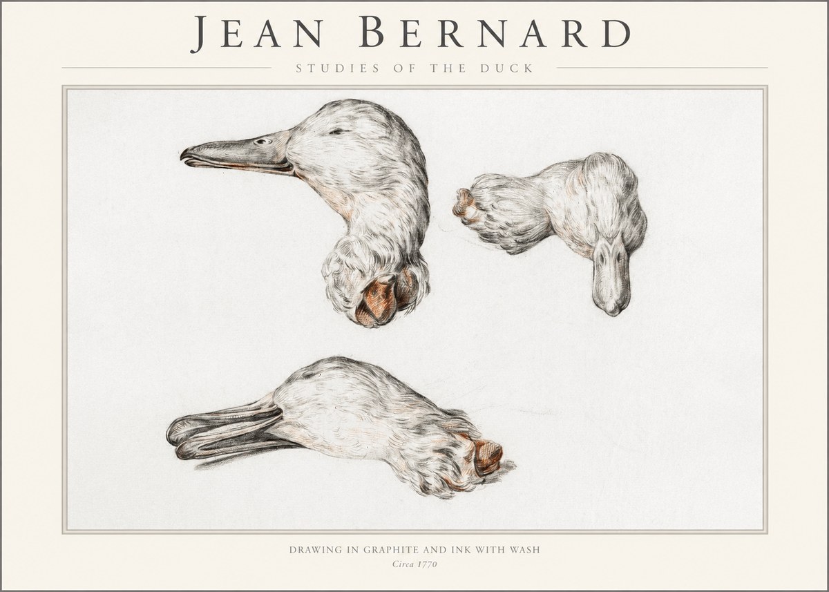 Jean Bernard Studies of the Duck No1 - Affiche