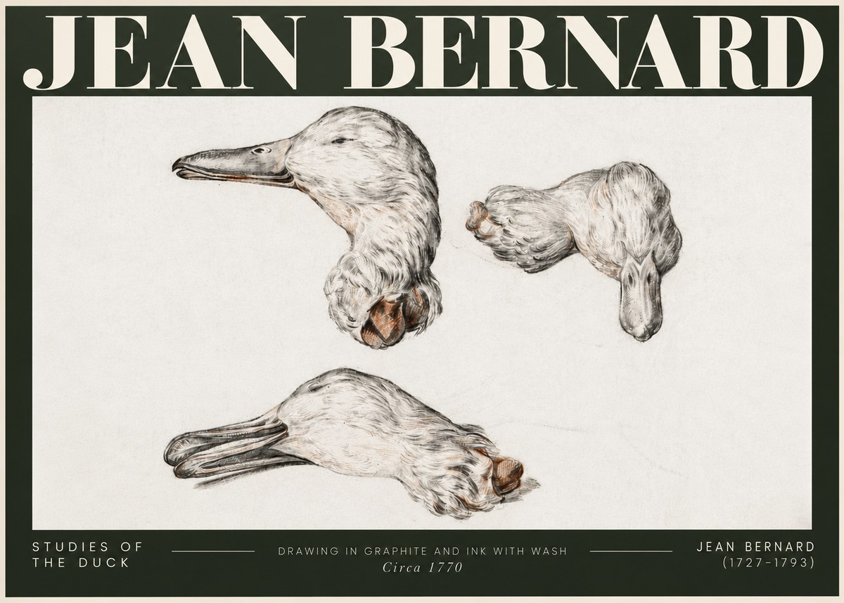 Jean Bernard Studies of the Duck No5 - Affiche