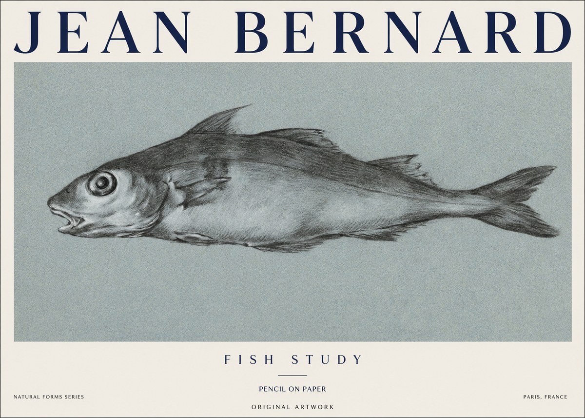 Jean Bernard Fish Study I No1 - Affiche