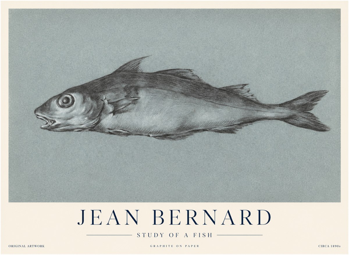 Jean Bernard Fish Study I No4 - Affiche