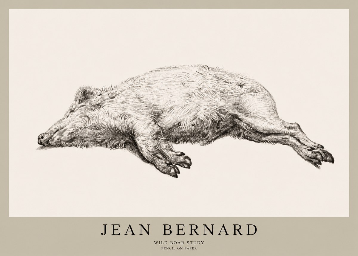 Jean Bernard Wild Boar Study No1 - Affiche