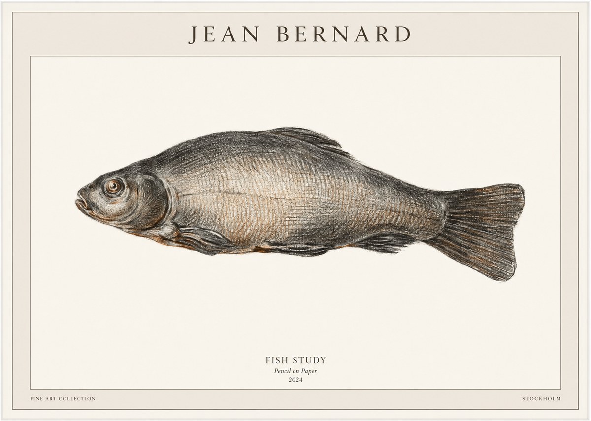 Jean Bernard Fish Study IV No1 - Affiche