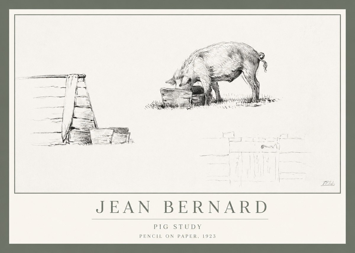 Jean Bernard Pig Study No1 - Affiche