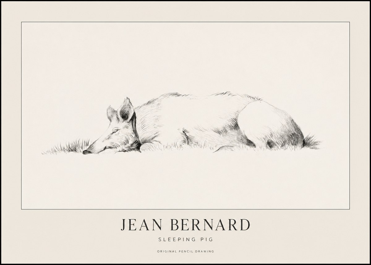 Jean Bernard Sleeping Pig II No1 - Affiche
