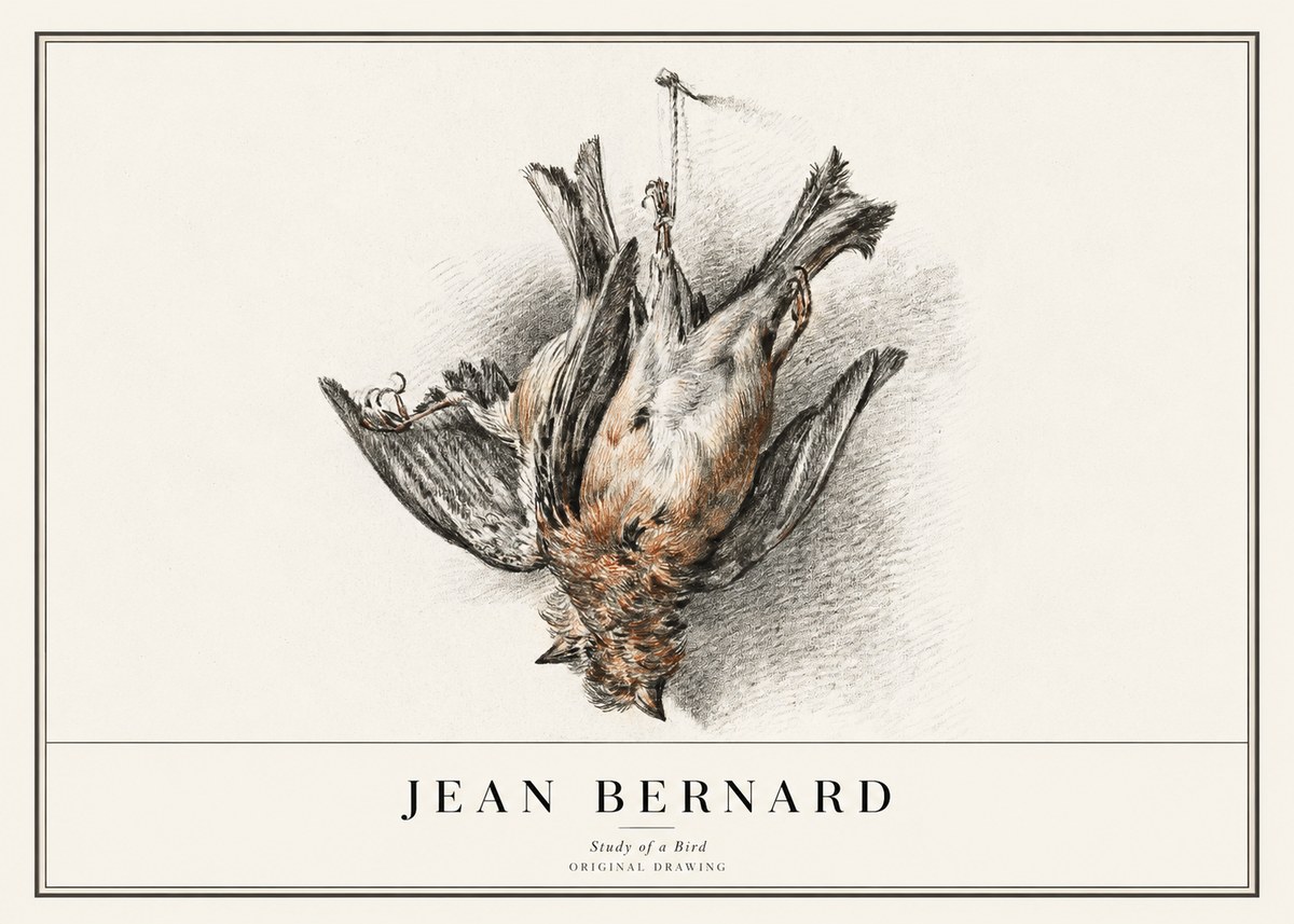 Jean Bernard Study of a Bird IV No1 - Affiche