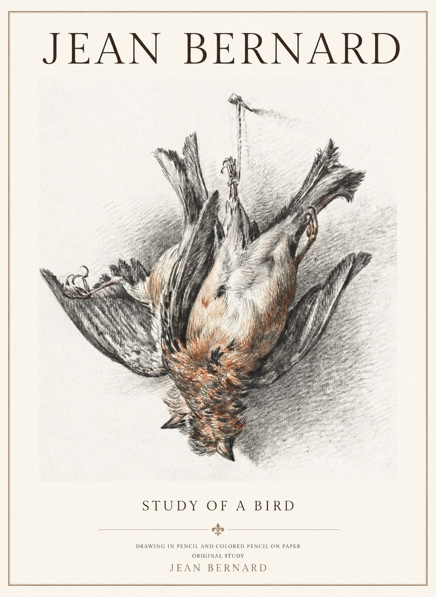 Jean Bernard Study of a Bird IV No3 - Affiche