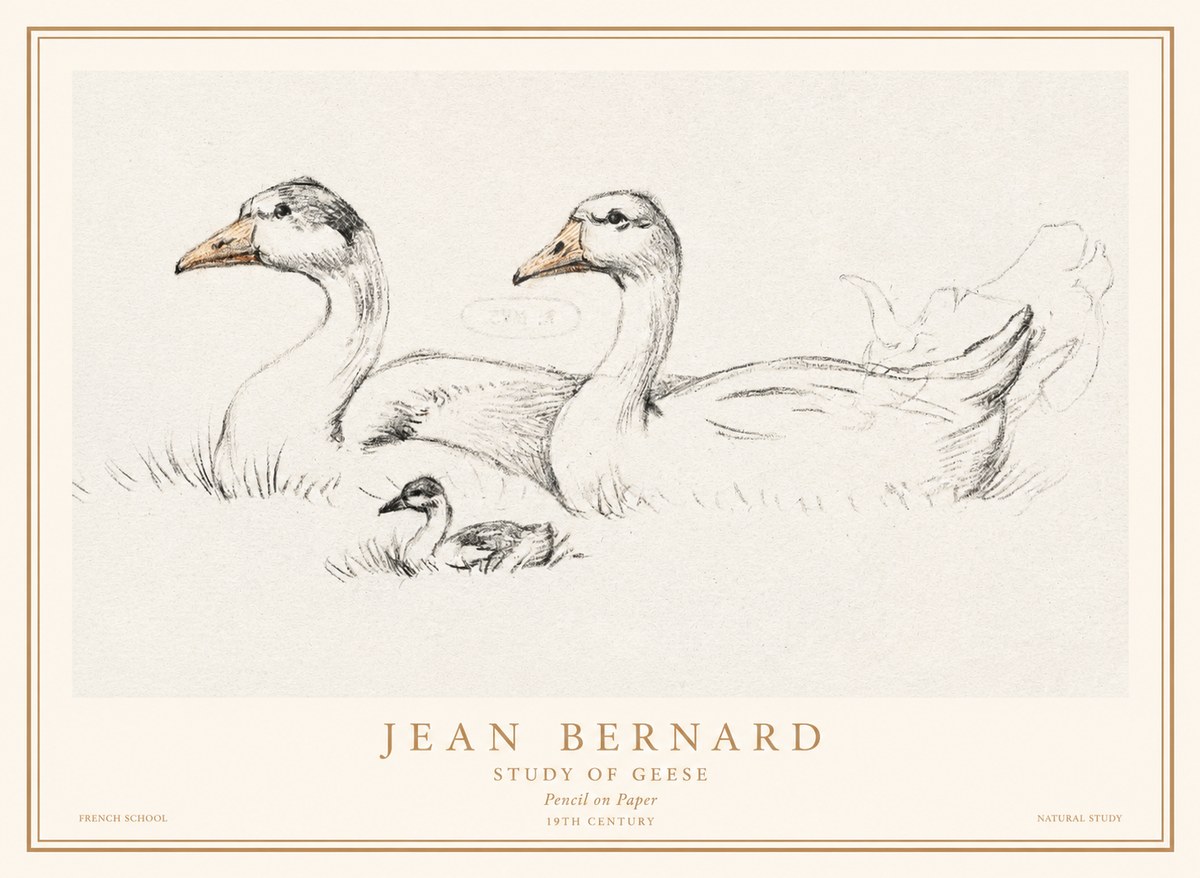 Jean Bernard Study of Geese No1 - Affiche