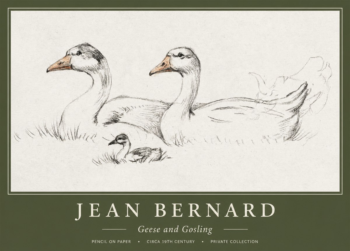 Jean Bernard Study of Geese No2 - Affiche