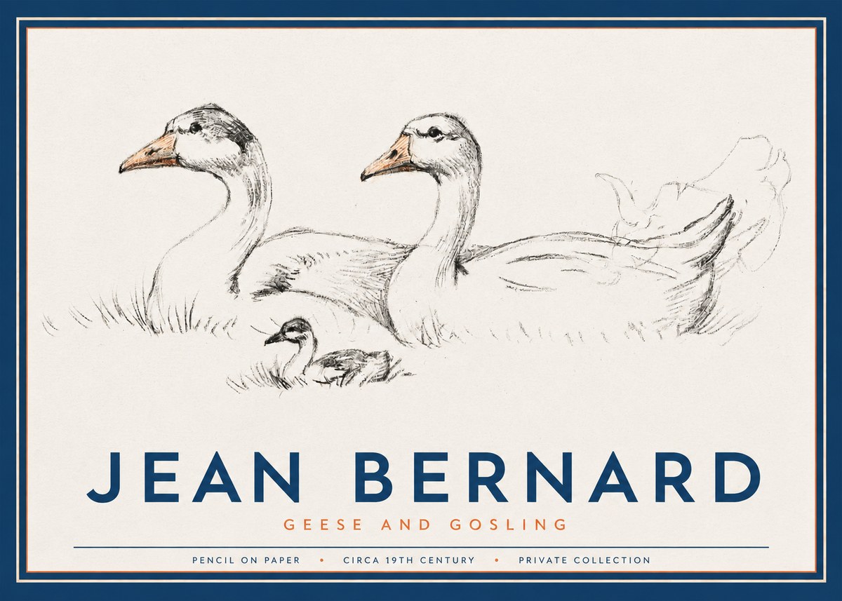 Jean Bernard Study of Geese No3 - Affiche