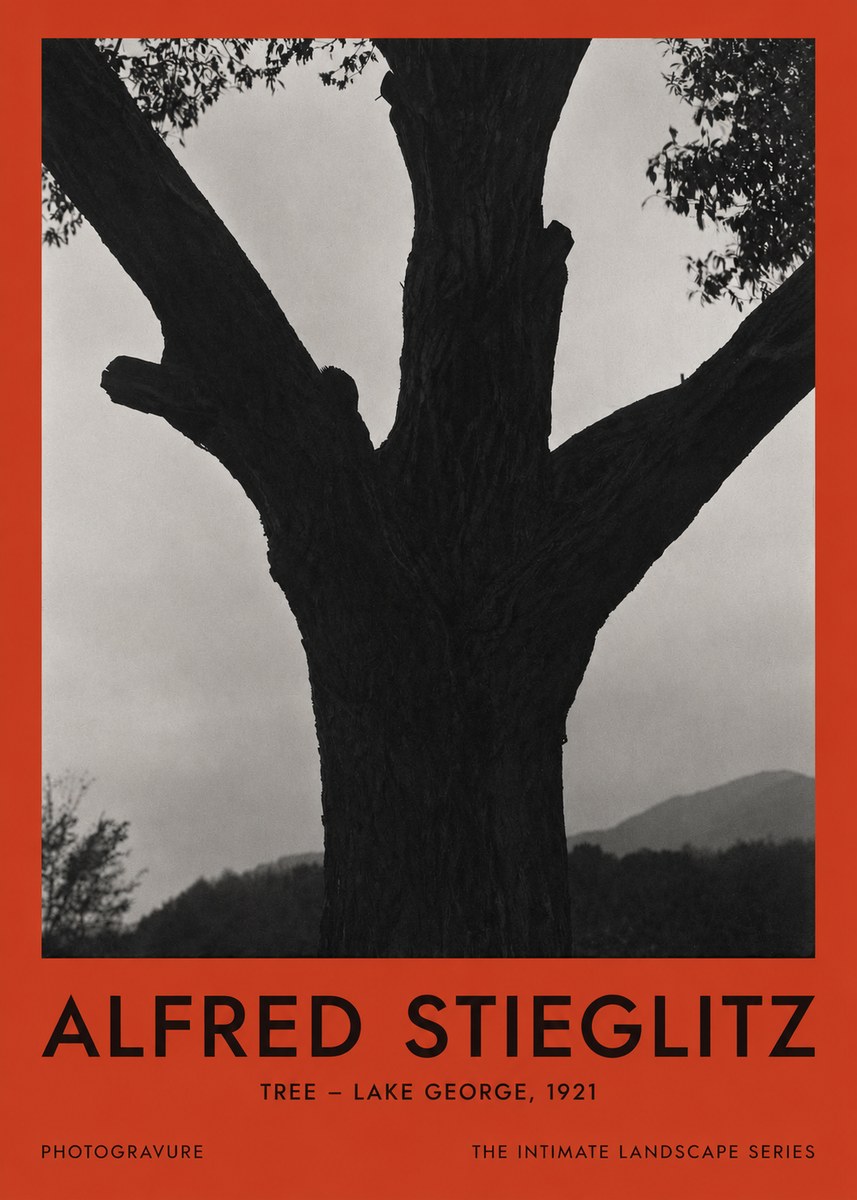 Alfred Stieglitz Tree - Lake George, 1921 No2 - Affiche