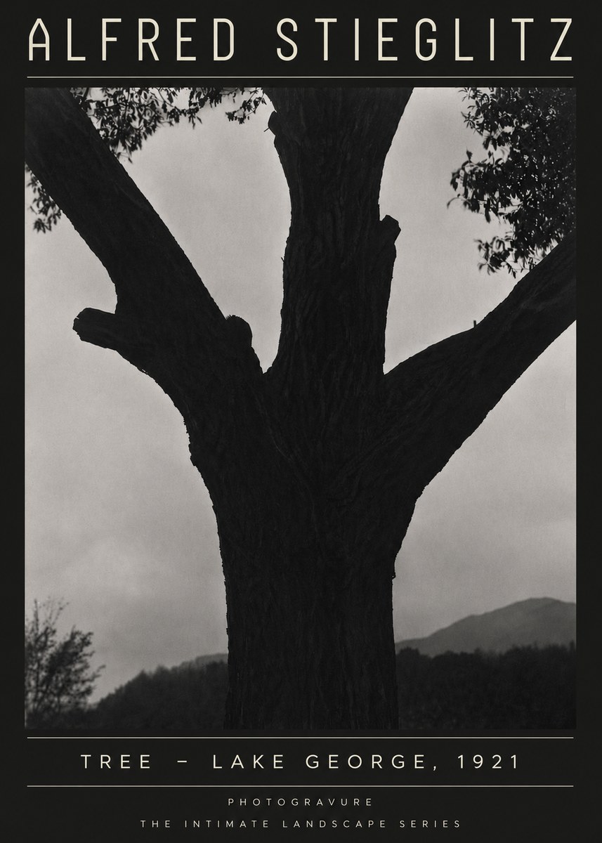 Alfred Stieglitz Tree - Lake George, 1921 No4 - Affiche