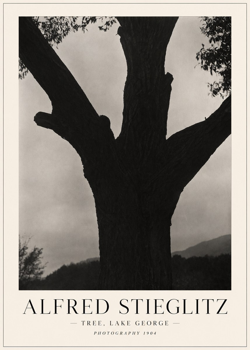 Alfred Stieglitz Tree - Lake George, 1921 No5 - Affiche