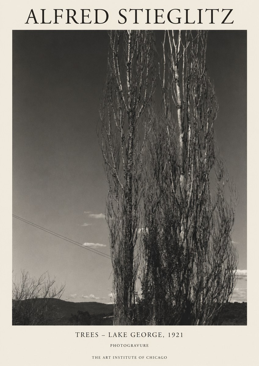 Alfred Stieglitz Trees - Lake George, 1921 No1 - Affiche