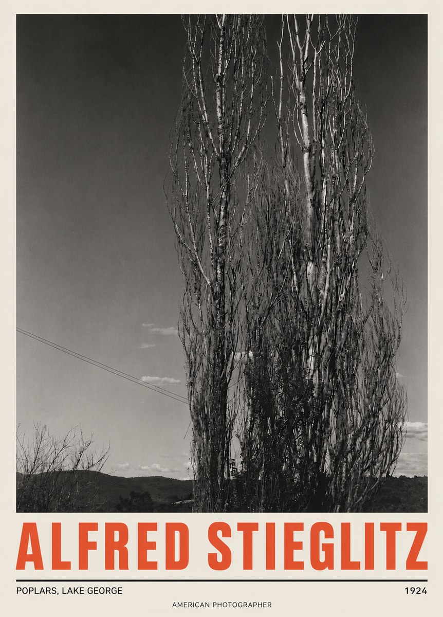 Alfred Stieglitz Trees - Lake George, 1921 No5 - Affiche