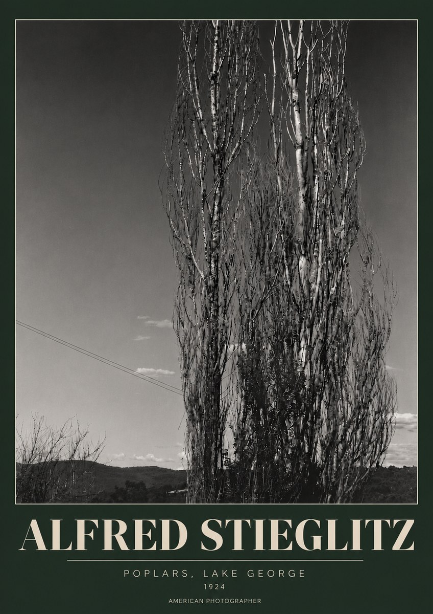 Alfred Stieglitz Trees - Lake George, 1921 No6 - Affiche