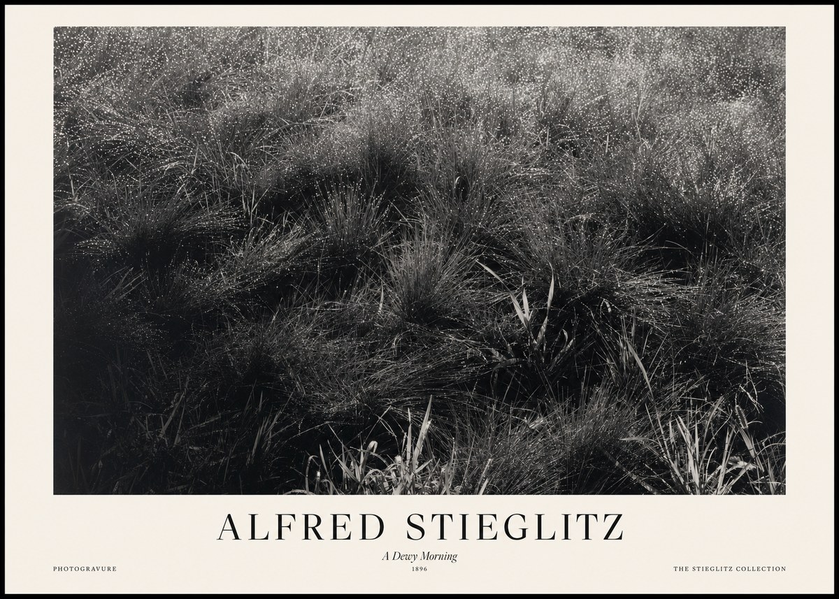 Alfred Stieglitz A Dewy Morning No1 - Affiche
