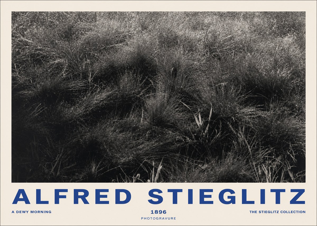 Alfred Stieglitz A Dewy Morning No2 - Affiche