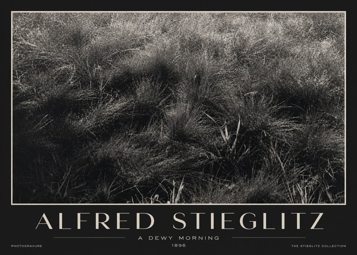 Alfred Stieglitz A Dewy Morning No3 - Affiche