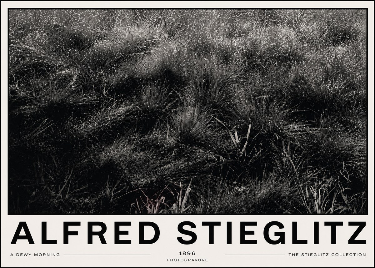 Alfred Stieglitz A Dewy Morning No6 - Affiche