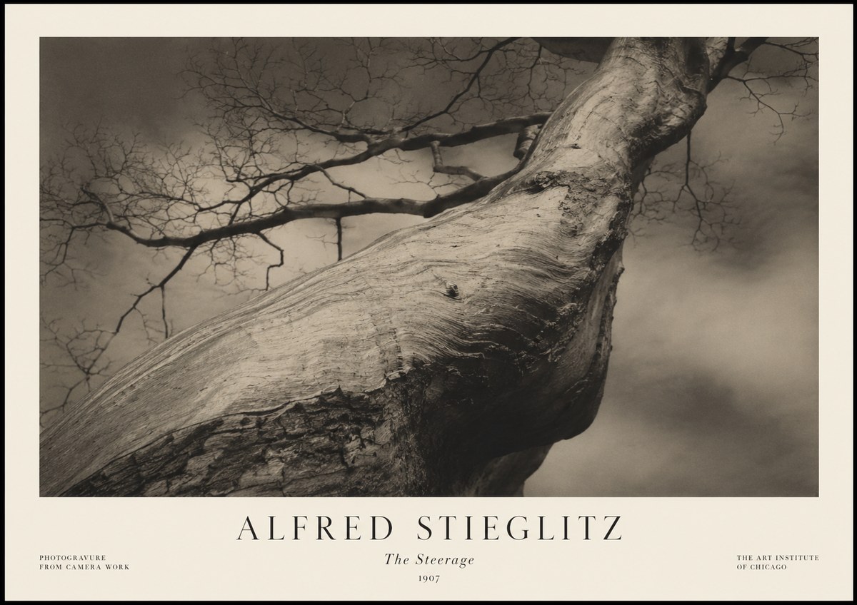 Alfred Stieglitz The Steerage I No1 - Affiche