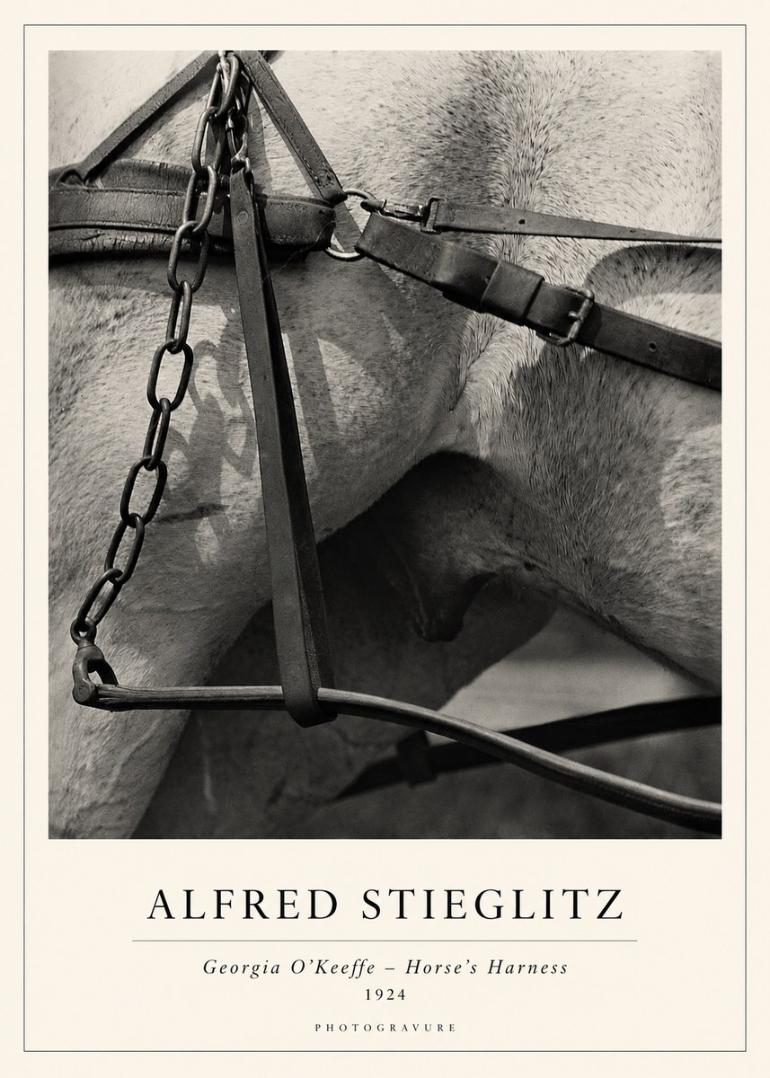 Alfred Stieglitz The Steerage I No2 - Affiche