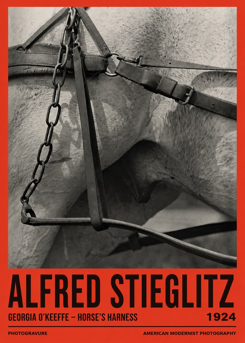 Alfred Stieglitz The Steerage I No3 - Affiche