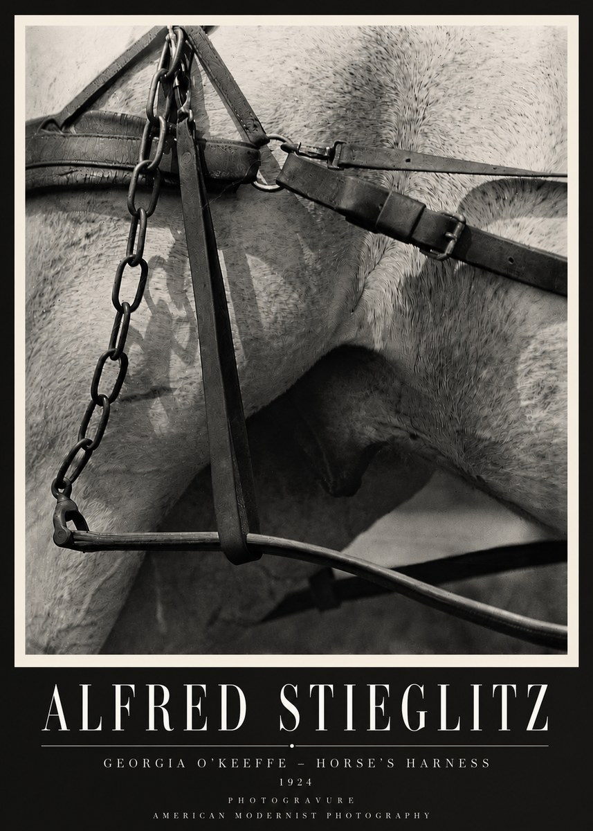 Alfred Stieglitz The Steerage I No4 - Affiche