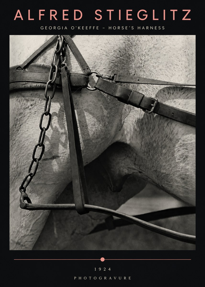 Alfred Stieglitz The Steerage I No5 - Affiche