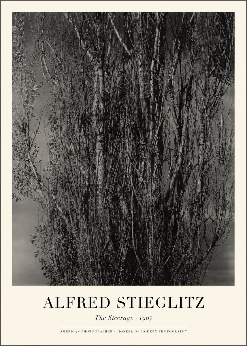 Alfred Stieglitz The Steerage II No1 - Affiche