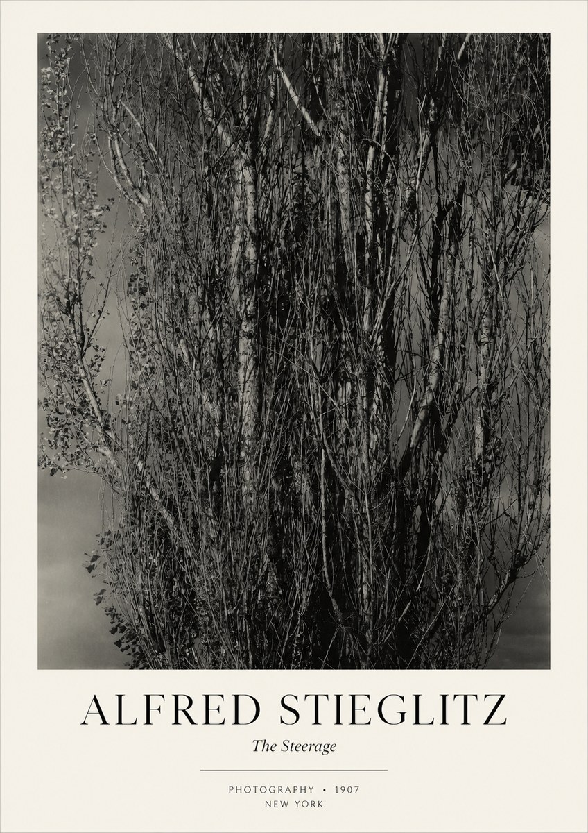 Alfred Stieglitz The Steerage II No3 - Affiche
