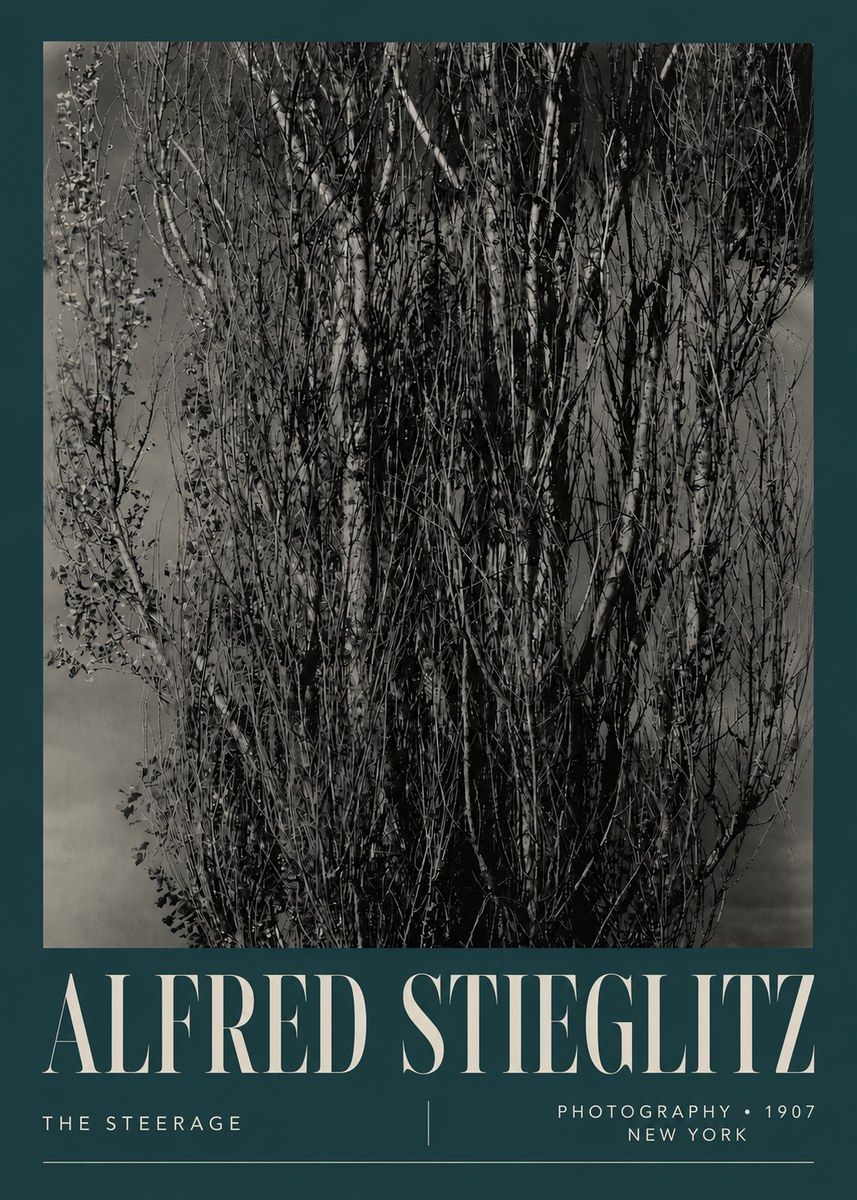 Alfred Stieglitz The Steerage II No5 - Affiche