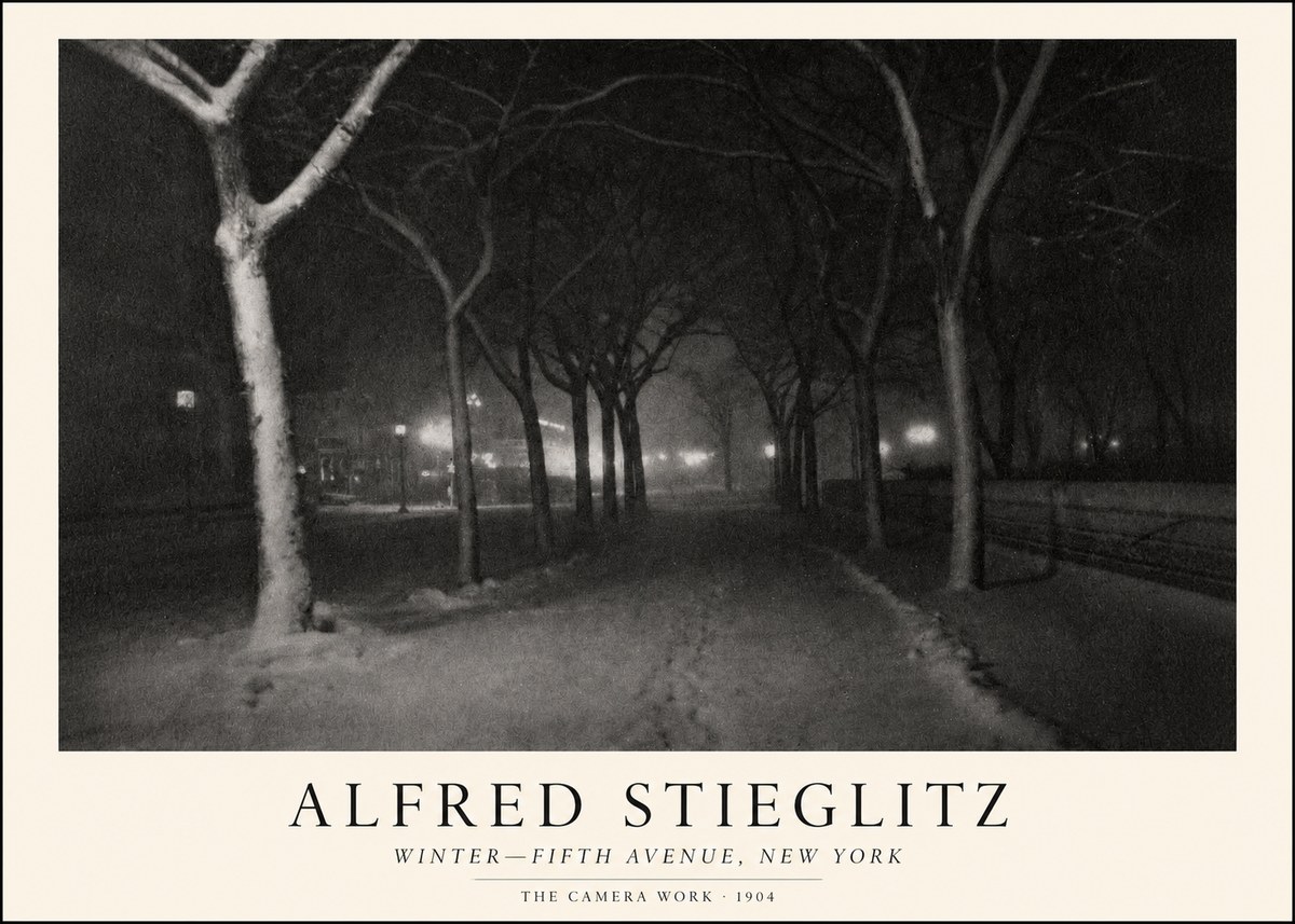Alfred Stieglitz Winter—fifth Avenue, New York No1 - Affiche