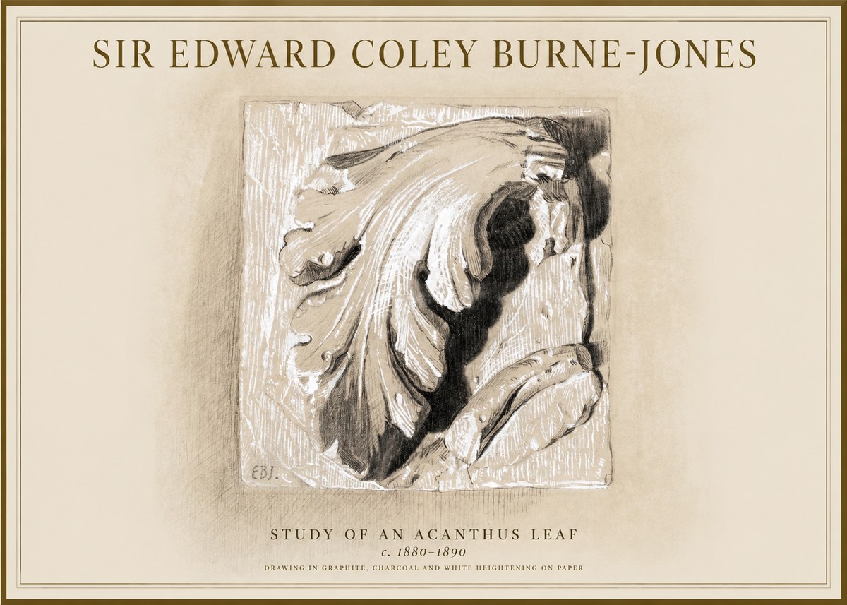 Edward Burne-Jones Study of an Acanthus Leaf No1 - Affiche