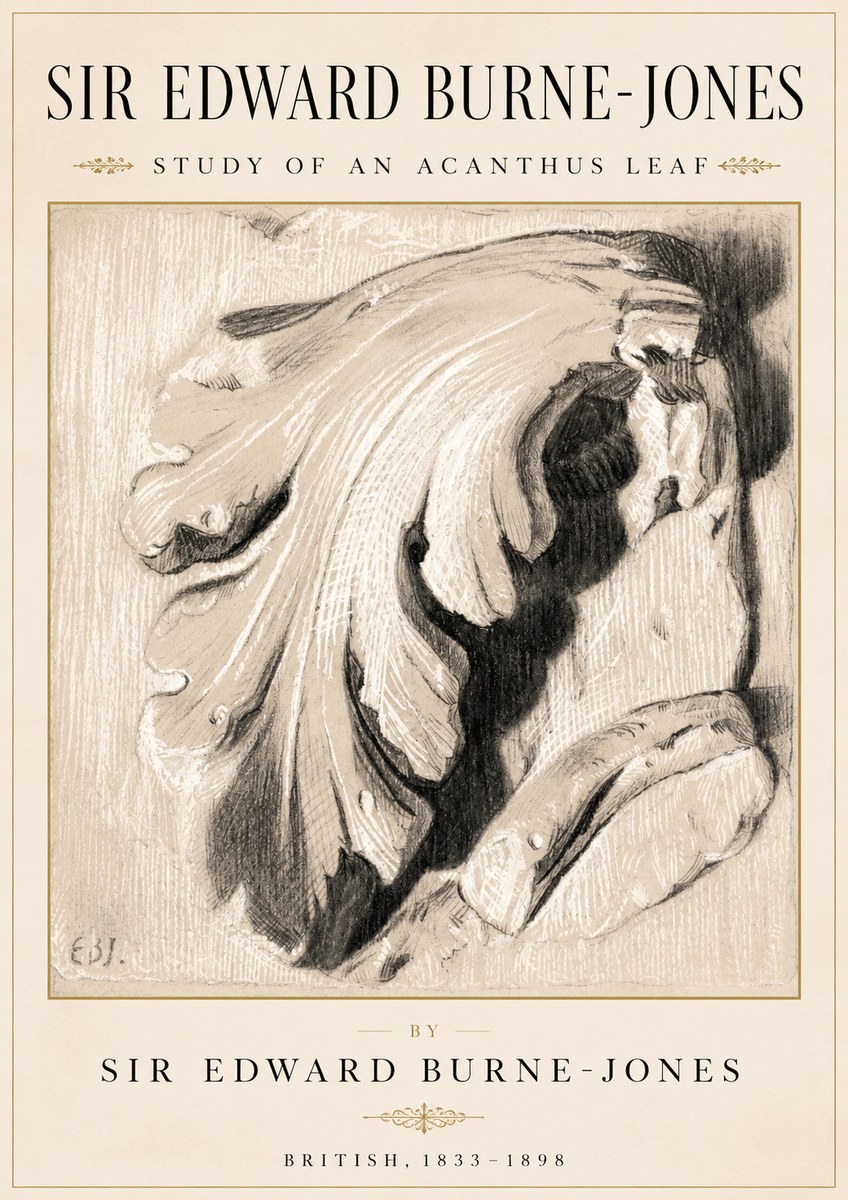 Edward Burne-Jones Study of an Acanthus Leaf No2 - Affiche